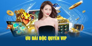 uu-dai-doc-quyen-vip